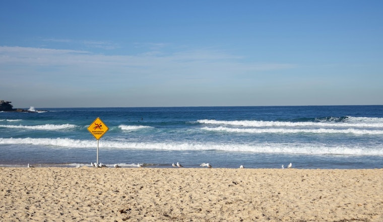 Jacksonville Area Faces Coastal Flood Advisory as High Rip Current Risks Prompt Official Cautions