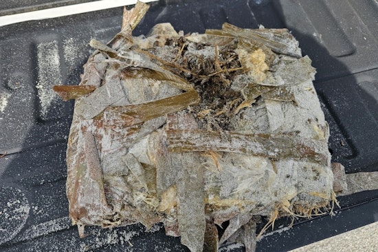 Jacksonville Beach Police Seize 19 Pounds of Marijuana Washed Ashore and Urge Public Caution