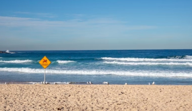 Jacksonville Weather Service Extends Rip Current Risk Warning, Coastal Flood Advisory for Florida Coastline