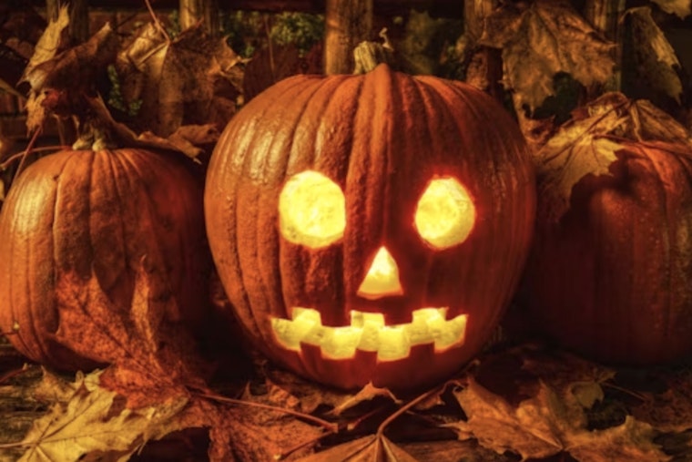 Janesville Senior Center to Serve Up Spooky Tales with Luncheon on October 29