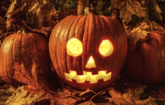 Janesville Senior Center to Serve Up Spooky Tales with Luncheon on October 29