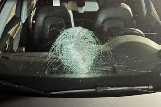 Jasper Police Apprehend Two Juveniles Suspected of Vandalizing Vehicles with Rocks