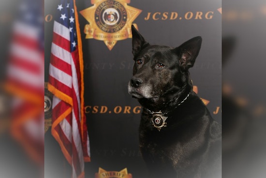 Jefferson County Sheriff's Office Bids Farewell to Beloved K-9 Officer Maro