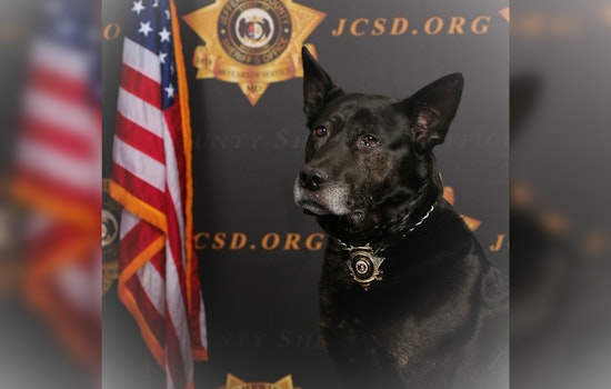 Jefferson County Sheriff's Office Bids Farewell to Beloved K-9 Officer Maro