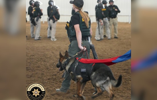 Jefferson County Sheriff's Office Celebrates K9 Heroes on National Police K9 Day