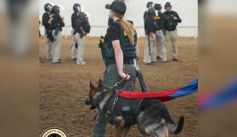 Jefferson County Sheriff's Office Celebrates K9 Heroes on National Police K9 Day