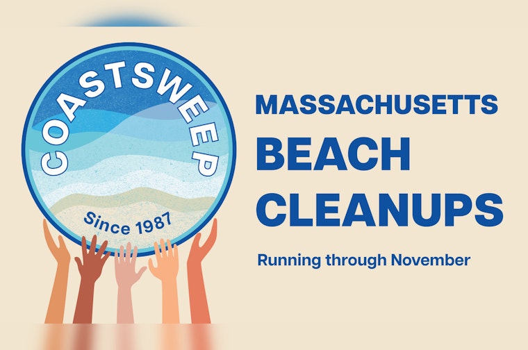Join the Healey-Driscoll Administration's COASTSWEEP Campaign to Clean Up Massachusetts Beaches Starting September 20