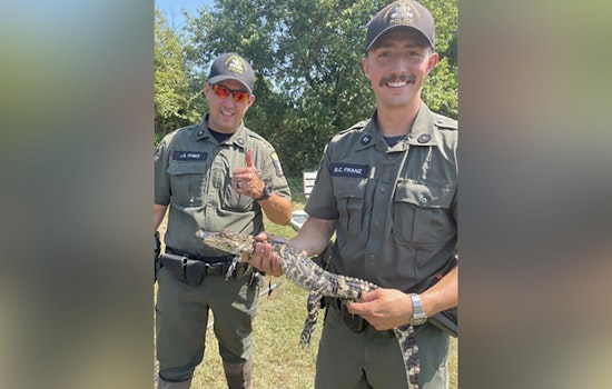 Juvenile Alligator Found Abandoned in Long Island's Freshwater Pond as Officials Launch Investigation