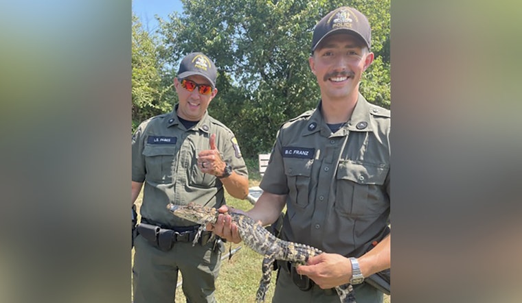 Juvenile Alligator Found Abandoned in Long Island's Freshwater Pond as Officials Launch Investigation