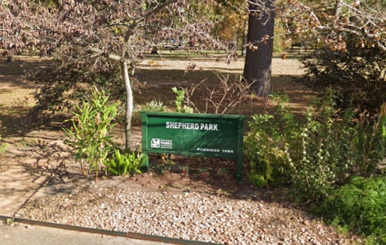 Juvenile Arrested in Connection with Daylight Attacks on Women at Shepherd Park in Houston