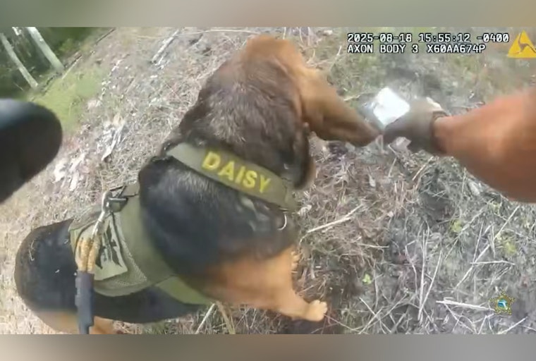 K9 Daisy Mae Aids in Suspect's Capture After High-Speed Chase Along I-95 in St. Johns County