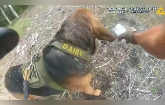 K9 Daisy Mae Aids in Suspect's Capture After High-Speed Chase Along I-95 in St. Johns County