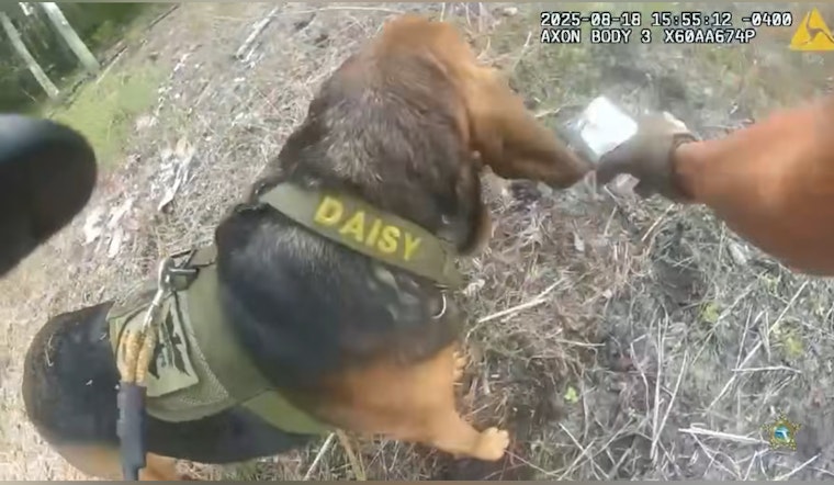 K9 Daisy Mae Aids in Suspect's Capture After High-Speed Chase Along I-95 in St. Johns County