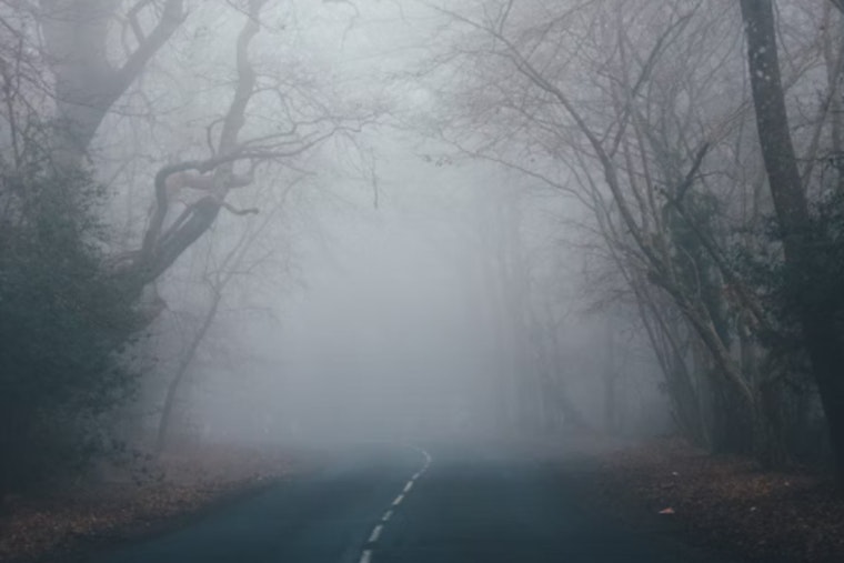 Knoxville Braces for Foggy Mornings, Showers, and Possible Thunderstorms as per National Weather Service Forecast