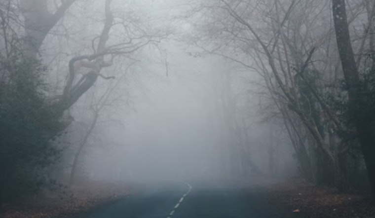 Knoxville Braces for Foggy Mornings, Showers, and Possible Thunderstorms as per National Weather Service Forecast