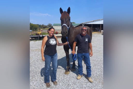 Knoxville Police Department's Mounted Patrol Horse Waggoner Retires Due to Medical Condition
