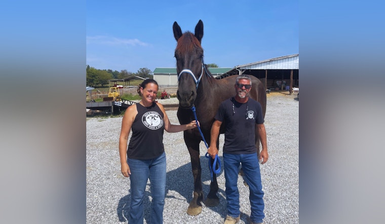 Knoxville Police Department's Mounted Patrol Horse Waggoner Retires Due to Medical Condition