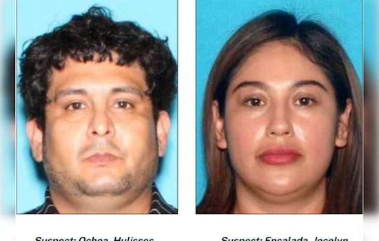 LAPD Seeks Additional Victims as Carwash Vandalism and Theft Spree Strikes Los Angeles