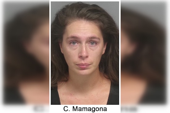 Largo Woman Charged with Child Neglect, Drug Possession After Leaving Child Unsupervised in Spring Hill Hotel