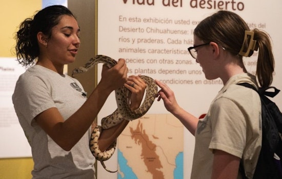 Las Cruces High Schoolers Invited to Explore City Government in Free Youth Leaders Academy