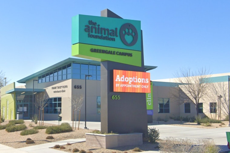 Las Vegas Animal Foundation Pet Food Pantry Hits Critical Shortage