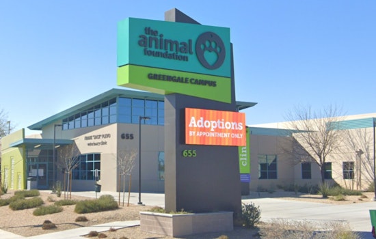 Las Vegas Animal Foundation Pet Food Pantry Hits Critical Shortage