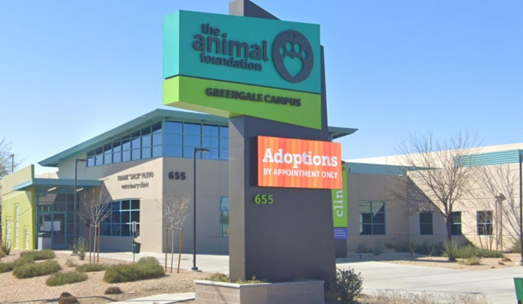 Las Vegas Animal Foundation Pet Food Pantry Hits Critical Shortage