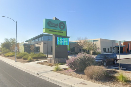 Las Vegas Animal Foundation Urges Community to Foster or Adopt Amid Dog Overflow Crisis