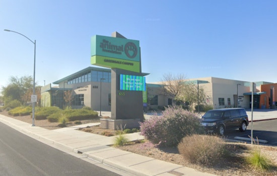 Las Vegas Animal Foundation Urges Community to Foster or Adopt Amid Dog Overflow Crisis