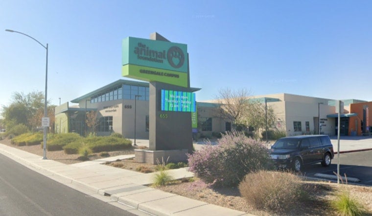 Las Vegas Animal Foundation Urges Community to Foster or Adopt Amid Dog Overflow Crisis