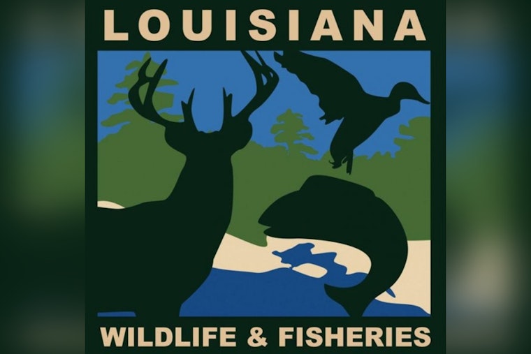 LDWF Investigating Serious Boating Collision in West Baton Rouge Parish