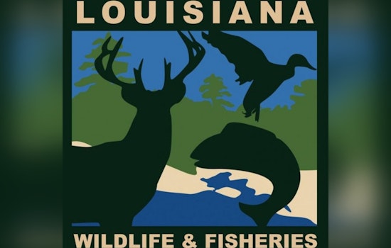 LDWF Investigating Serious Boating Collision in West Baton Rouge Parish
