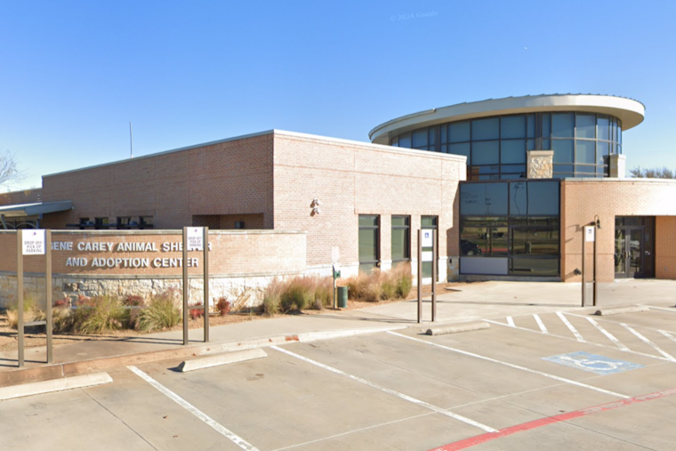 Lewisville Partners with TCAP for Low-Cost Pet Vaccine Clinic on Oct. 4