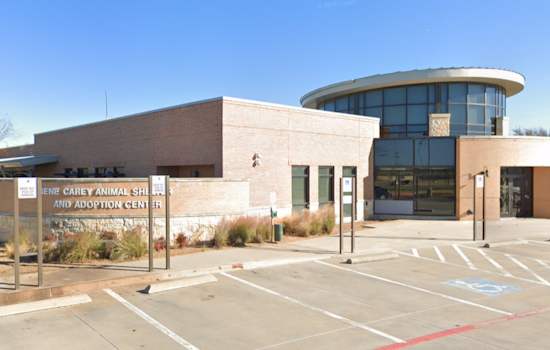 Lewisville Partners with TCAP for Low-Cost Pet Vaccine Clinic on Oct. 4