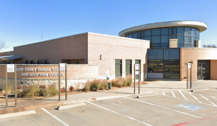 Lewisville Partners with TCAP for Low-Cost Pet Vaccine Clinic on Oct. 4