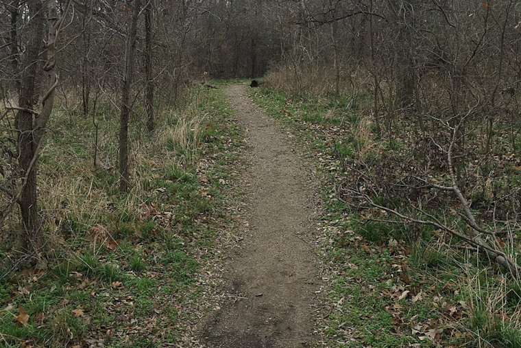 Lewisville Set to Host Camino De Los Muertos Trail Run in Support of Local Environment