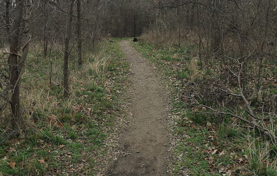 Lewisville Set to Host Camino De Los Muertos Trail Run in Support of Local Environment