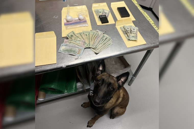 Livermore K9 Unit Detects Meth, Leading to Arrest of Oakland Man on Intent to Sell Charges