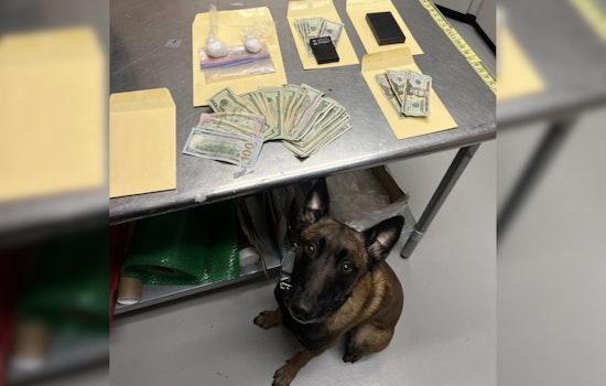 Livermore K9 Unit Detects Meth, Leading to Arrest of Oakland Man on Intent to Sell Charges