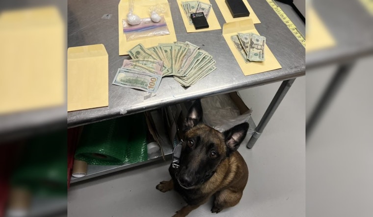 Livermore K9 Unit Detects Meth, Leading to Arrest of Oakland Man on Intent to Sell Charges