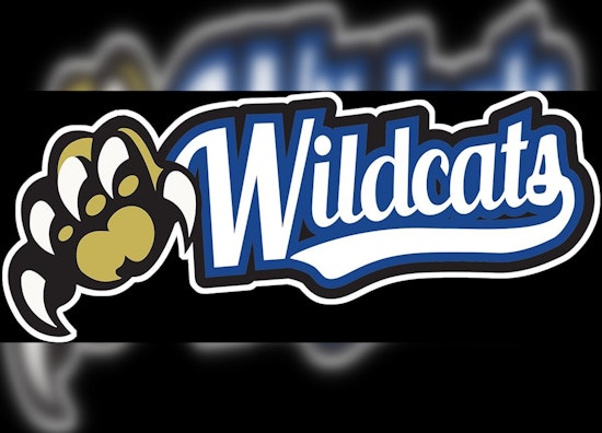 Livingston Academy's Festive Homecoming Parade to Paint Town with Wildcat Spirit