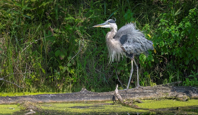Local Talent Showcased in Coon Rapids Arts Commission Photo Contest Winners' Reveal