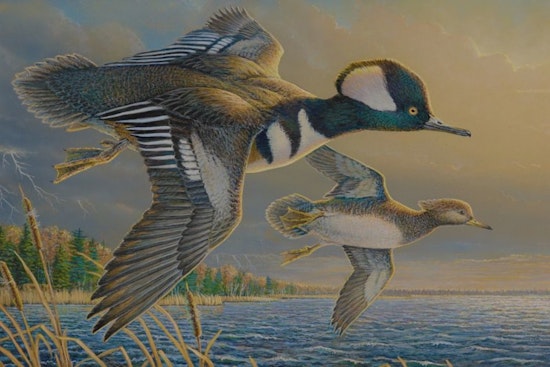 Local Wisconsin Artists Win Top Honors in DNR Stamp Design Contest for Conservation Efforts