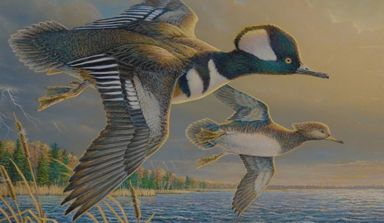 Local Wisconsin Artists Win Top Honors in DNR Stamp Design Contest for Conservation Efforts
