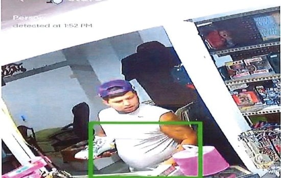 Lorain County Sheriff Seeks Public Help to Identify Suspect in Amherst Township Retail Theft