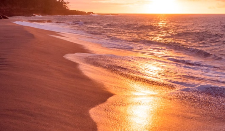 Los Angeles Beachgoers Beware: Health Officials Warn of High Bacteria Levels at Popular Spots
