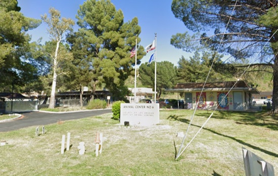 Los Angeles County Castaic Animal Care Center Hosts Emergency Preparedness and Adoption Event