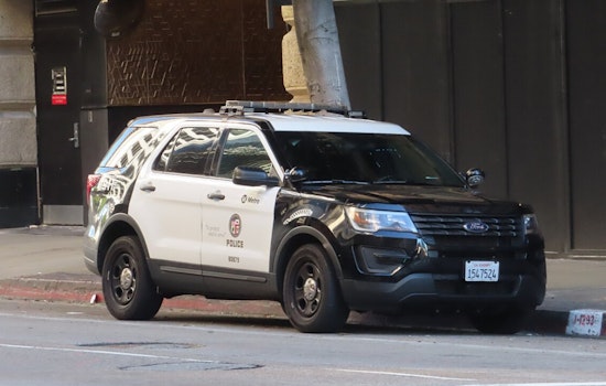 Los Angeles Detectives Investigate Intentional Hit-and-Run Fatality on Lassen Street