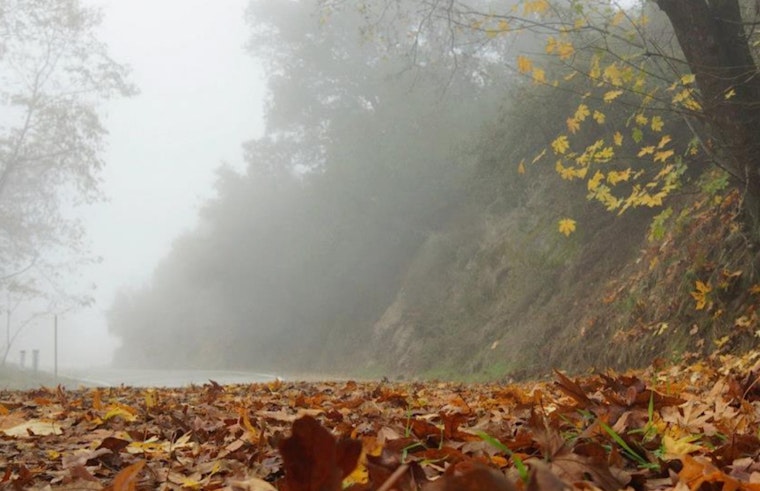 Los Angeles Weather: Patchy Fog to Clear for Sunny Afternoons, Highs in Mid-80s