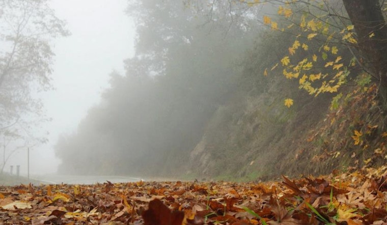 Los Angeles Weather: Patchy Fog to Clear for Sunny Afternoons, Highs in Mid-80s